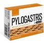 PYLOGASTRIS BIENESTAR GASTRICO CON PYLOPASS 90 CAP - PLANTIS