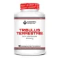 TRIBULUS TERRESTRIS 90% SAPONINAS 1000 MG 90 COMPRIMIDOS - SCIENTIFFIC TRIBULUS TERRESTRIS 90% SAPONINAS 1000 MG 90 COMPRIMIDOS - SCIENTIFFIC