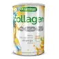 COLLAGEN WITH MAGNESIUM ORANGE 300 G - QUAMTRAX COLLAGEN WITH MAGNESIUM ORANGE 300 G - QUAMTRAX